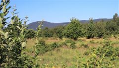 Krajina se vzrostlými stromy a vegetací zásobenou vodou, se nep�eh�ívá a není...