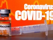 Vakcínu proti covidu-19 se snaí získat celý svt.