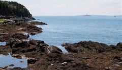 Na tomto místě ve státě Maine zemřela třiašedesátiletá žena po útoku žraloka. | na serveru Lidovky.cz | aktuální zprávy