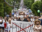 Lidé protestují proti zatení gubernátora Sergeje Furgala.