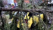 Strom spadl v dsledku silnho vtru pokodil osobn automobil v jedn z...