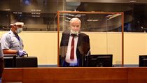 Bval velitel armdy bosenskch Srb Ratko Mladi u trestnho tribunlu OSN.