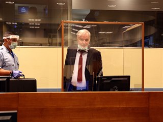 Bval velitel armdy bosenskch Srb Ratko Mladi u trestnho tribunlu OSN.