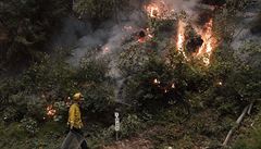 Kalifornii su�ují rozsáhlé po�áry.