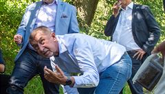 Podle odhad ije v R asi 10 000 perlorodek, co je jen zlomek populace ze...