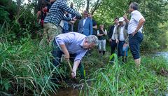 Babi spolen s ministrem ivotního prostedí Richardem Brabcem (ANO) vysadili...