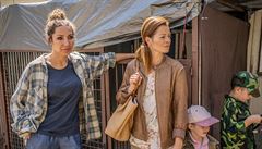 Snímek Gump - pes, který nau�il lidi �ít (2020). Re�ie: F. A. Brabec.