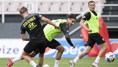 Píprava eské fotbalové reprezentace na úvodní utkání do Ligy národ na...