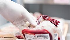 Krevn plazma od eskch drc zachrauje ivoty i v jinch zemch EU