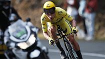 Primo Rogli piel v posledn etap o vhru na Tour de France
