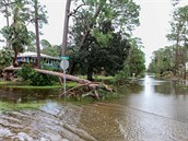 Záplavy a spadané stromy po tropické boui Sally v Alabam.