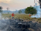 Hasii hasící pdu vypálených les pro zemdlské úely v oblasti Sao Felix do...
