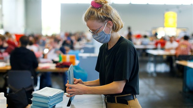 Nmci v dob koronaviru proívají i evropské volby.