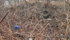 Co v�e lze najít v p�írod� kolem Vráta je nepochopitelné