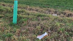 Co v�e lze najít v p�írod� kolem Vráta je nepochopitelné