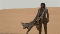 Snímek Duna (2020).