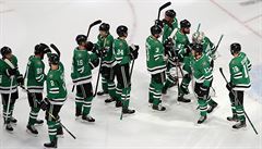 Hokejisté Dallasu jsou krek od postupu do finále NHL.