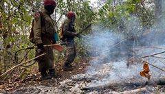 Hasi�i bojující s po�áry v oblasti Sao Felix do Xing v brazilském stát� Pará.