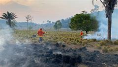 Hasi�i hasící p�du vypálených les� pro zem�d�lské ú�ely v oblasti Sao Felix do...