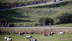 Momentka z devatenácté etapy Tour de France.