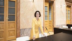 Chtěla bych soudit ve Štrasburku, říká ústavní soudkyně Kateřina Šimáčková