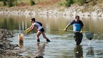 Po úniku neznámé látky uhynuly v řece Bečvě tisíce tun ryb.
