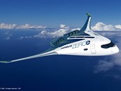 Francouzi chtjí sestavit letadlo na vodíkový pohon.
