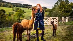 P�vodní funkce ornamentu je magická, ochra�uje své nositele a obyvatele dom�.