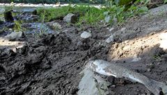Bečvu měly podle serveru otrávit kyanidy z areálu bývalé Tesly Rožnov, podezřelá je firma Energoaqua
