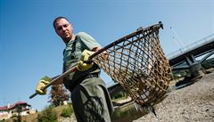 Po úniku neznámé látky uhynuly v řece Bečvě tisíce tun ryb.