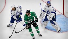 Jan Rutta ve finálové sérii NHL proti Dallasu.