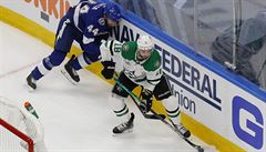 Jan Rutta ve finálové sérii NHL proti Dallasu.