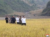 Kim Jo-ong se zúastnila spolu s bratrem inspekce vesnic na jihu zem, je v...