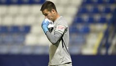 Branká� Liberce Filip Nguyen.