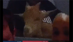 Virtuální fanouci na NBA