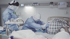 Snímek Coronation (2020).