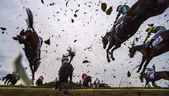 Kon pekonávají Taxisv píkop.