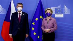 Evropská komise dodá Česku 30 plicních ventilátorů z krizových skladů, oznámil Babiš