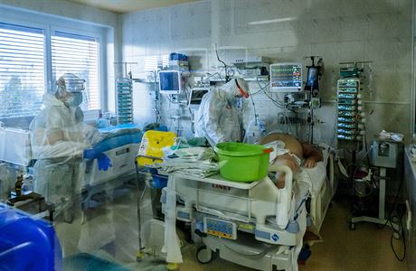 Ve zlínské nemocnici mají aktuálně 17 covid pacientů na jednotce intenzivní...