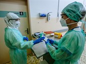 V Česku se dosud potvrdily desítky případů indické a jihoafrické varianty koronaviru