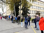 Naděje i národní sounáležitost. Slováci ve frontách čekali na testování, výsledek měli i za deset minut