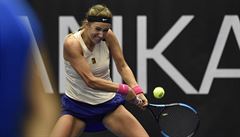 Viktoria Azarenková otoila utkání s Barborou Krejíkovou.