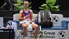 eská tenistka Barbora Krejíková.