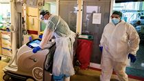 esko zaznamenalo za celou dobu pandemie 334 000 pozitivn testovanch na...