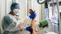 Ve Fakultní nemocnici Plzeň, kde pracuje přes 4800 zaměstnanců, je jich 231 v...
