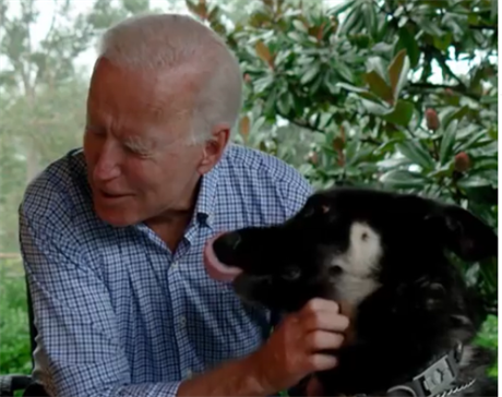 Joe Biden se svým ovákem Majorem.