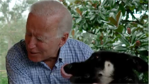 spn prezidentsk kandidt Joe Biden se svm psem Majorem.