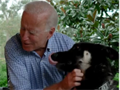 Úspný prezidentský kandidát Joe Biden se svým psem Majorem.