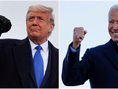 A combination picture shows U.S. President Donald Trump pumping his fist during...