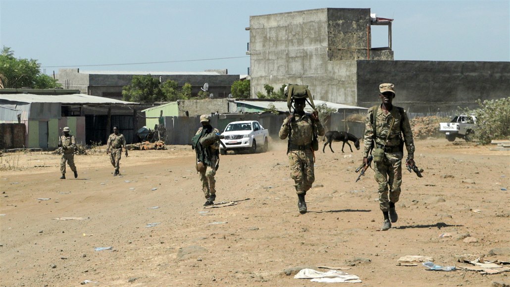 Speciální jednotky vlády regionu Amhara se vrací z boje proti jednotkám...